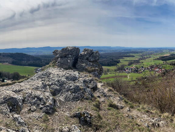 25-03-21 12-13-26 2477